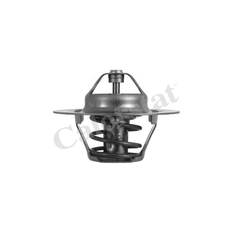 Thermostat d'eau CALORSTAT by Vernet