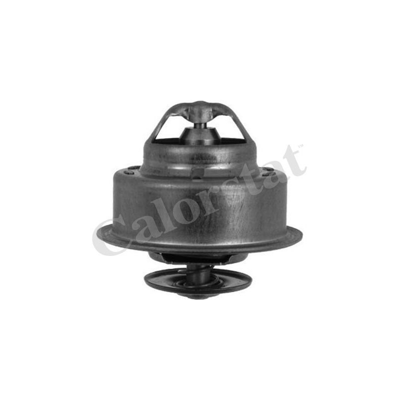 Thermostat d'eau CALORSTAT by Vernet