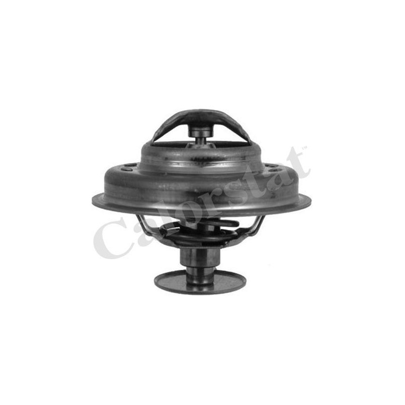 Thermostat d'eau CALORSTAT by Vernet