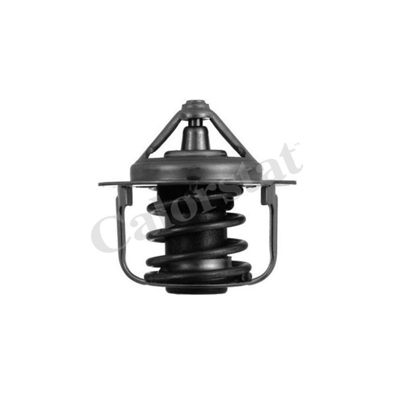 Thermostat d'eau CALORSTAT by Vernet