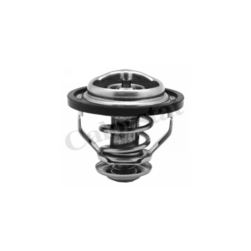 Thermostat d'eau CALORSTAT by Vernet