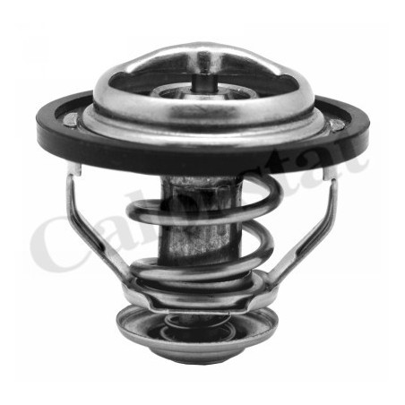 Thermostat d'eau CALORSTAT by Vernet