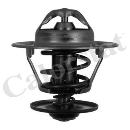 Thermostat d'eau CALORSTAT by Vernet