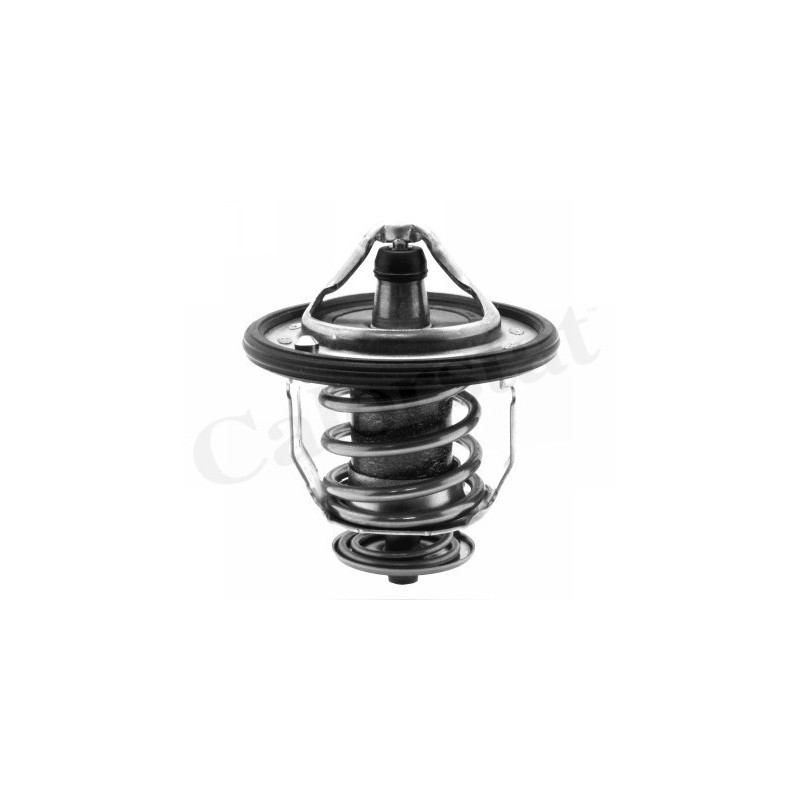 Thermostat d'eau CALORSTAT by Vernet