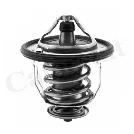 Thermostat d'eau CALORSTAT by Vernet