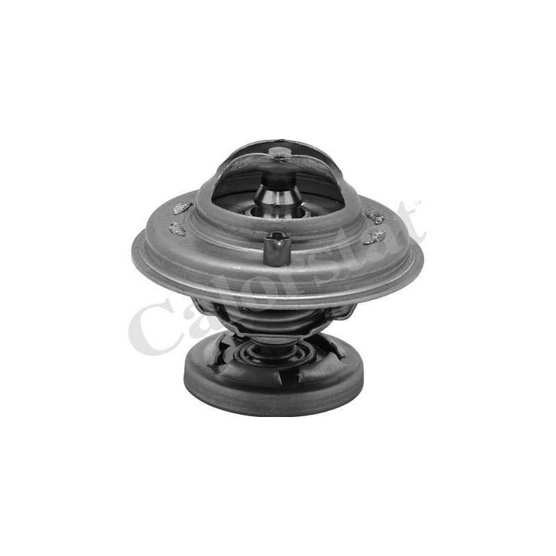 Thermostat d'eau CALORSTAT by Vernet