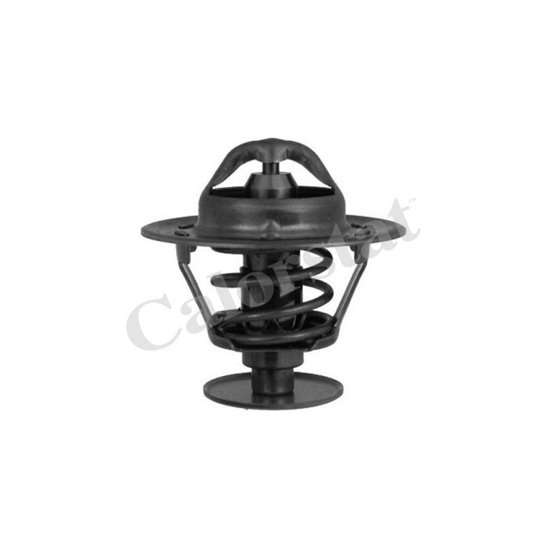 Thermostat d'eau CALORSTAT by Vernet