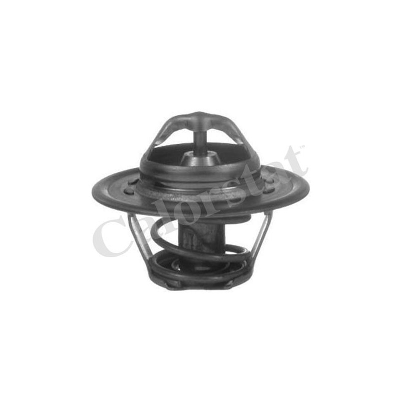 Thermostat d'eau CALORSTAT by Vernet