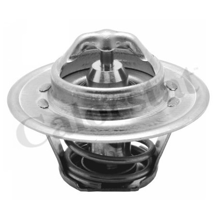 Thermostat d'eau CALORSTAT by Vernet