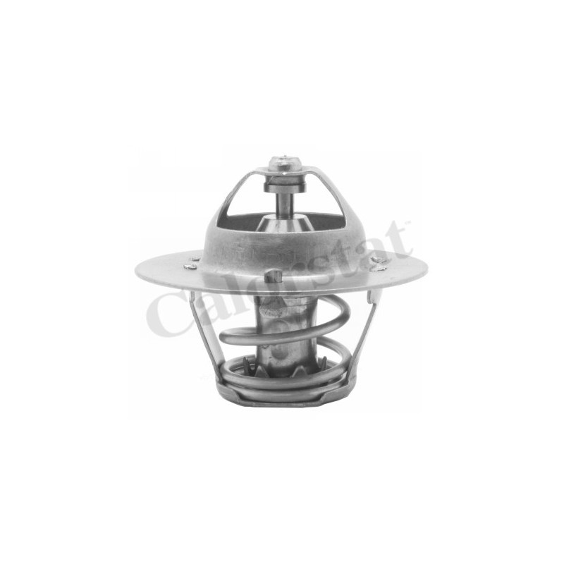 Thermostat d'eau CALORSTAT by Vernet