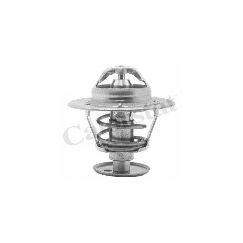 Thermostat d'eau CALORSTAT by Vernet