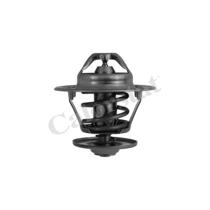 Thermostat d'eau CALORSTAT by Vernet