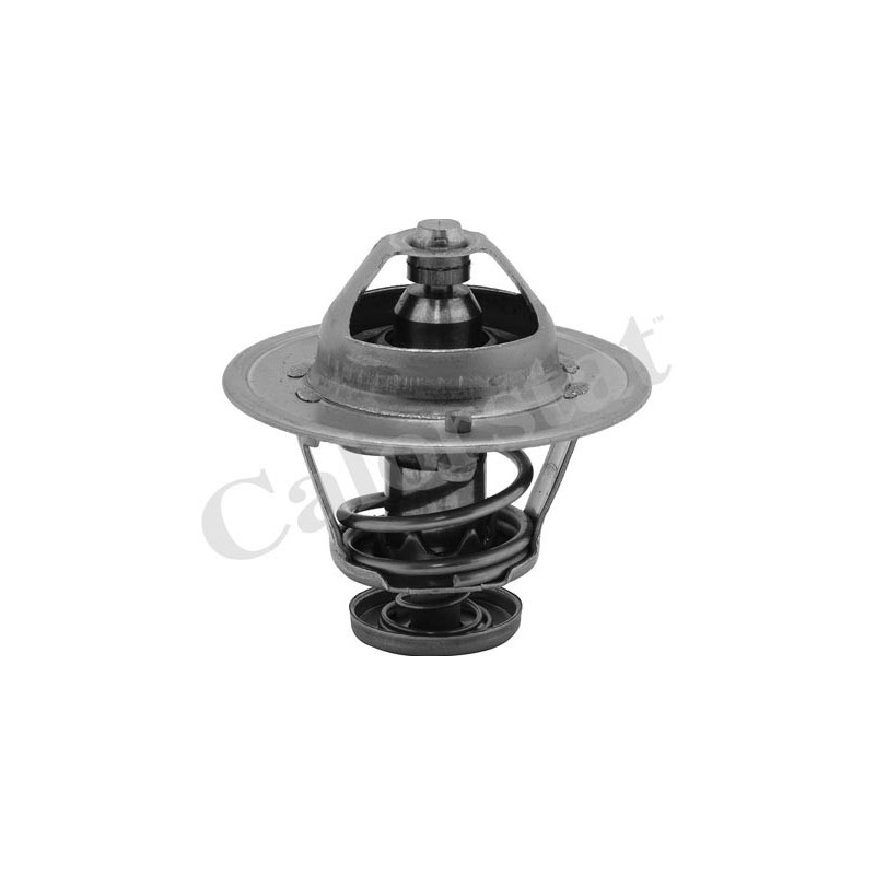 Thermostat d'eau CALORSTAT by Vernet