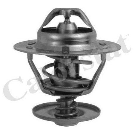 Thermostat d'eau CALORSTAT by Vernet