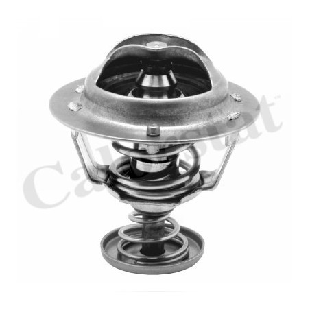 Thermostat d'eau CALORSTAT by Vernet