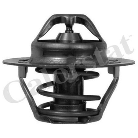 Thermostat d'eau CALORSTAT...