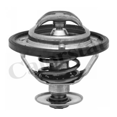 Thermostat d'eau CALORSTAT by Vernet