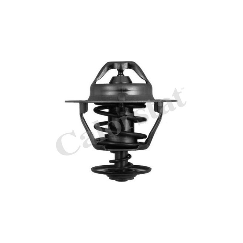 Thermostat d'eau CALORSTAT by Vernet