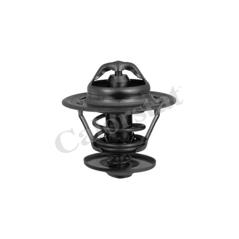 Thermostat d'eau CALORSTAT by Vernet