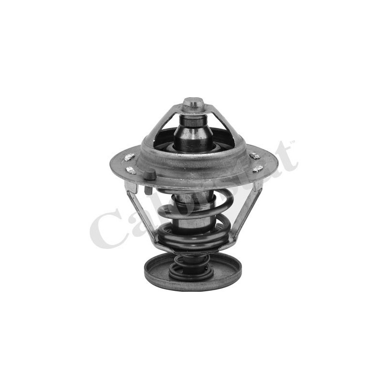 Thermostat d'eau CALORSTAT by Vernet