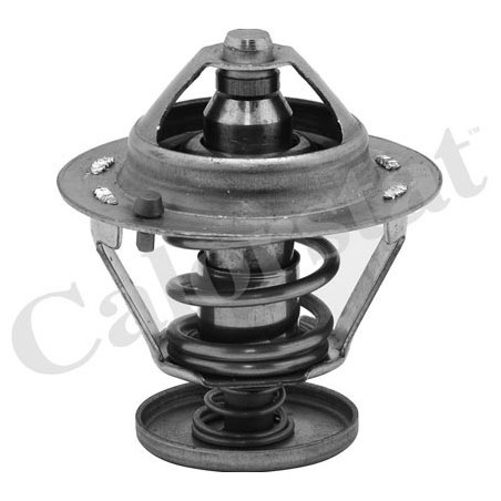 Thermostat d'eau CALORSTAT...