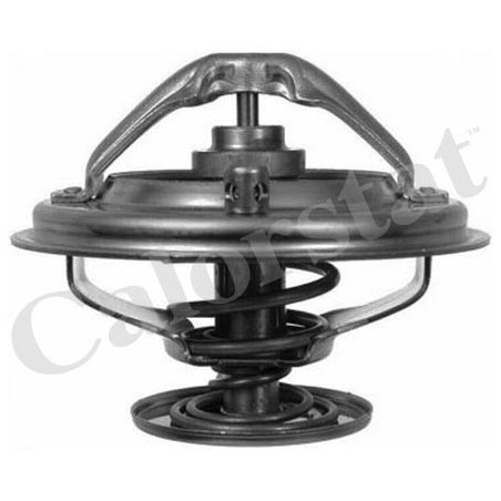 Thermostat d'eau CALORSTAT...