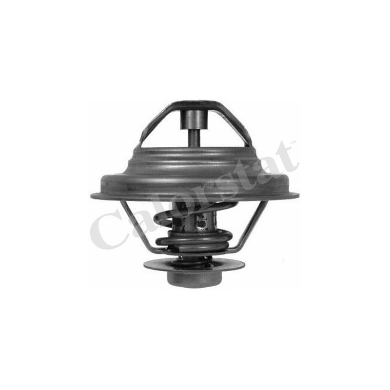 Thermostat d'eau CALORSTAT by Vernet