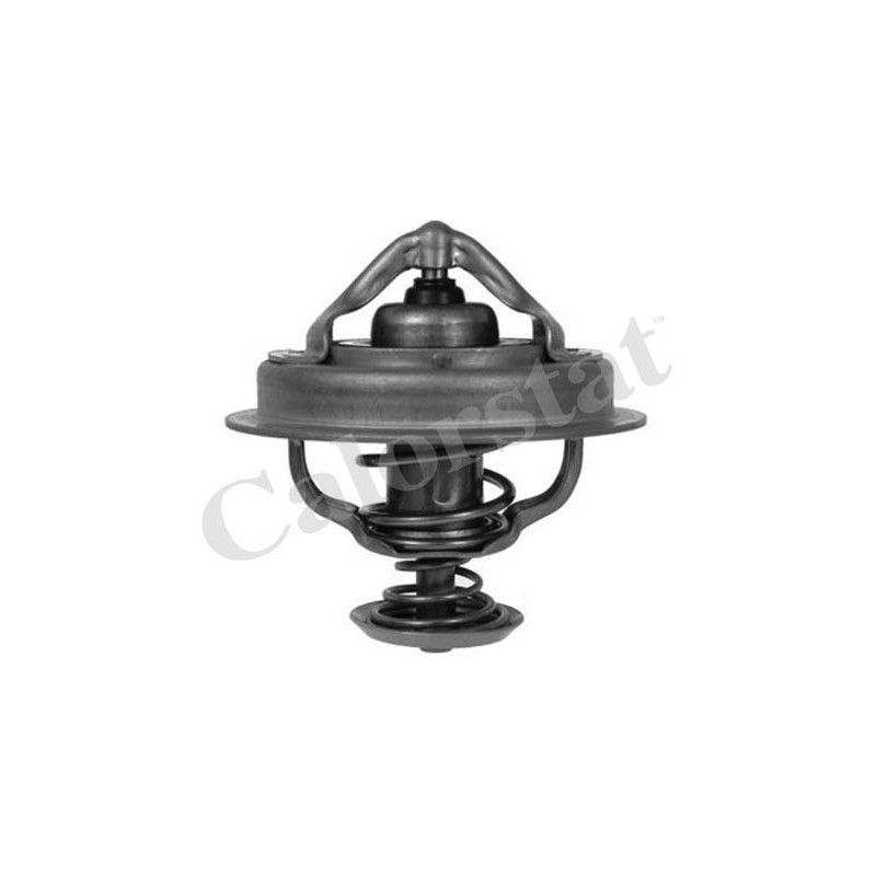 Thermostat d'eau CALORSTAT by Vernet