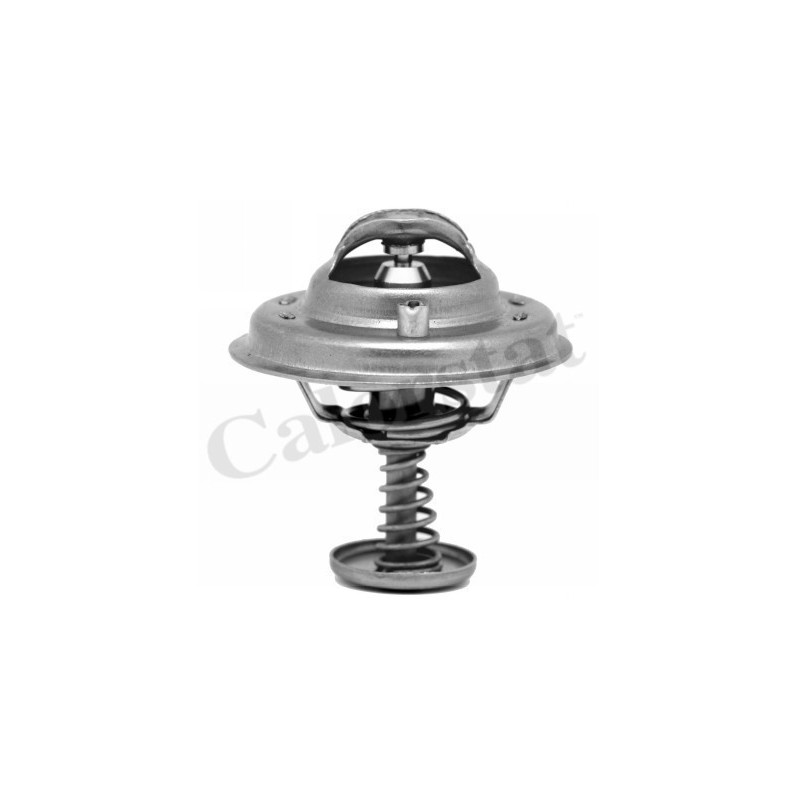 Thermostat d'eau CALORSTAT by Vernet