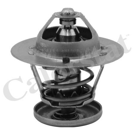 Thermostat d'eau CALORSTAT by Vernet