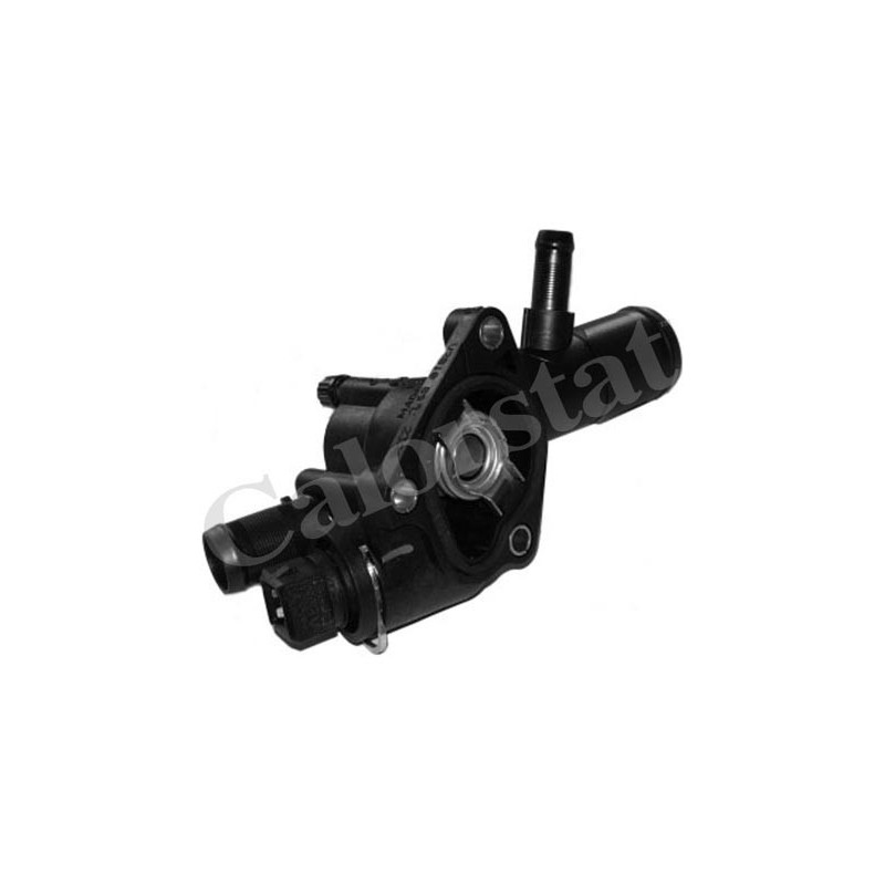 Thermostat d'eau CALORSTAT by Vernet