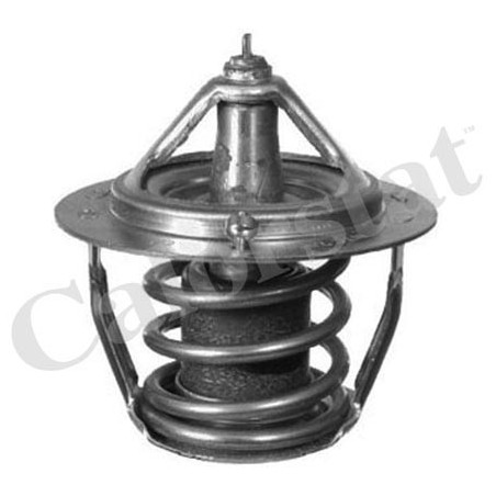 Thermostat d'eau CALORSTAT by Vernet