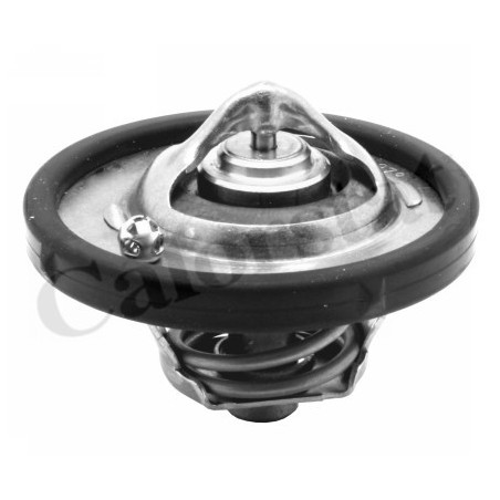 Thermostat d'eau CALORSTAT by Vernet