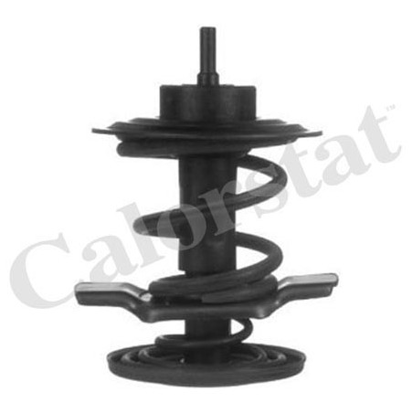 Thermostat d'eau CALORSTAT...