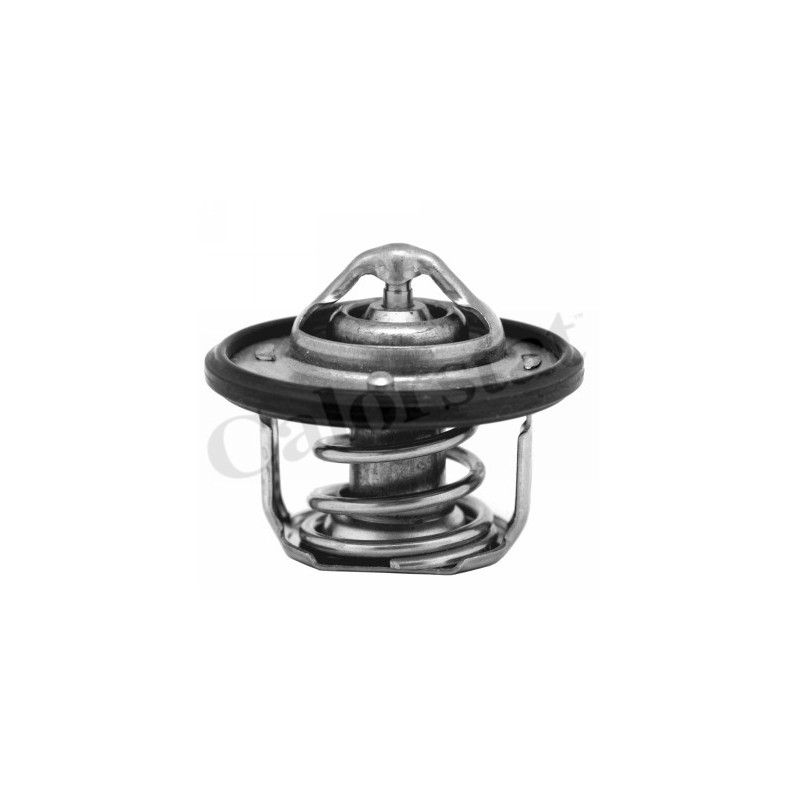 Thermostat d'eau CALORSTAT by Vernet