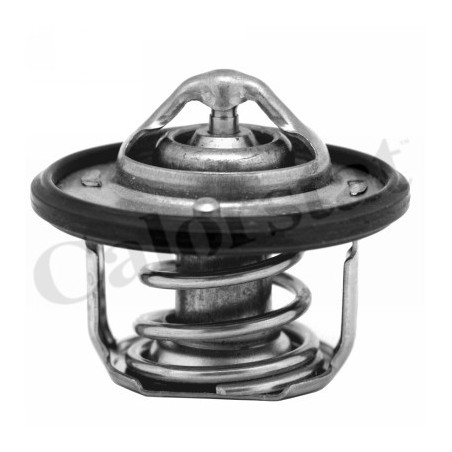 Thermostat d'eau CALORSTAT by Vernet