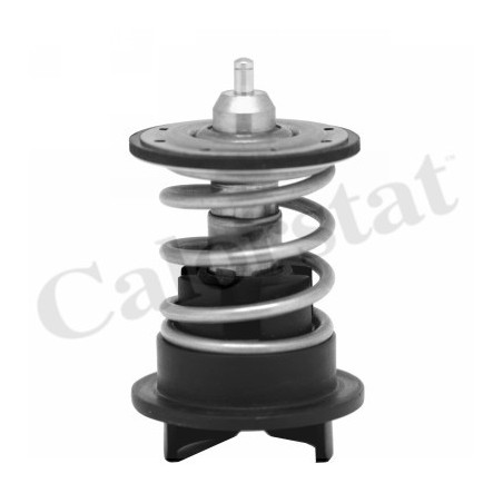 Thermostat d'eau CALORSTAT...