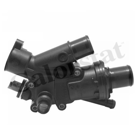 Thermostat d'eau CALORSTAT...