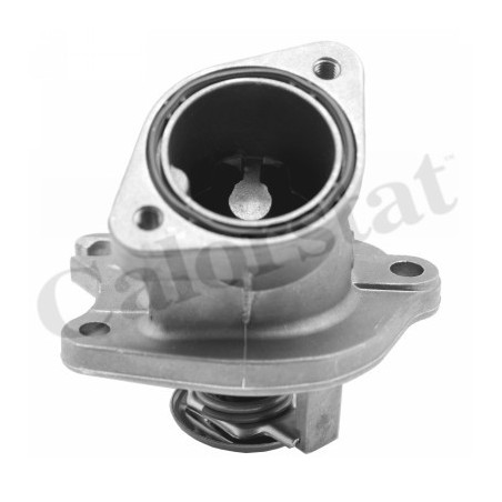 Thermostat d'eau CALORSTAT...