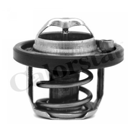 Thermostat d'eau CALORSTAT by Vernet