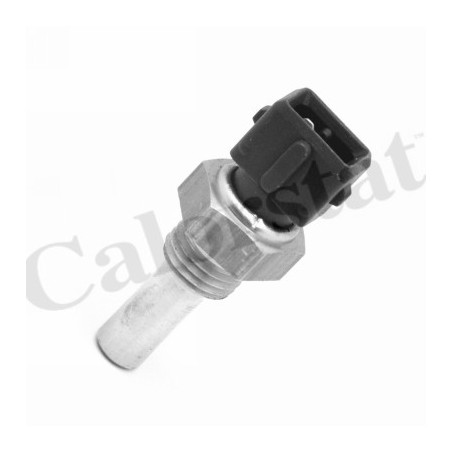 Sonde de température (liquide de refroidissement) CALORSTAT by Vernet