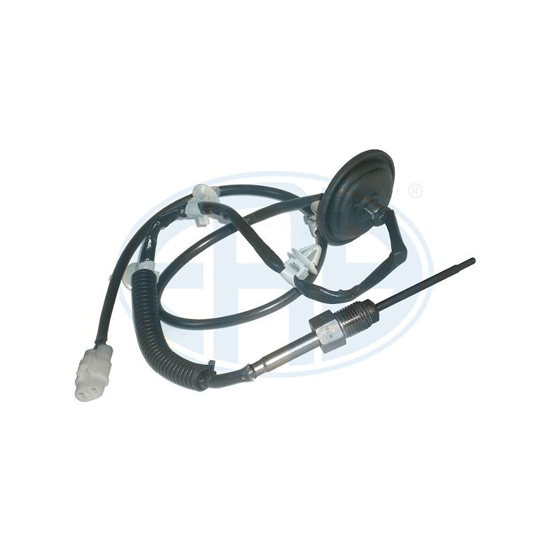 Palpeur (température des gaz) ERA