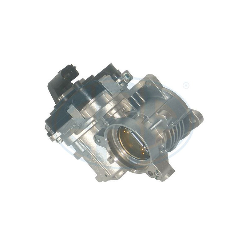 Boîtier de papillon ERA