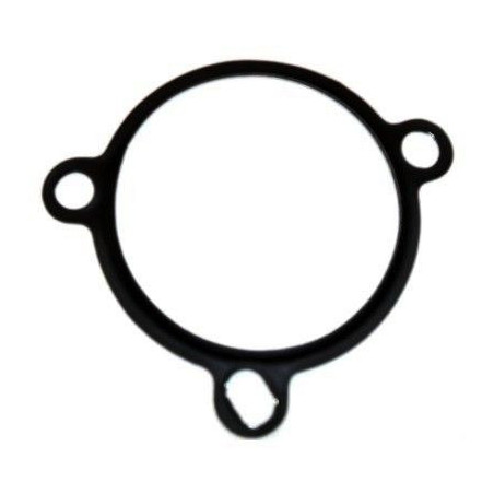 Joint (vanne EGR / AGR)...