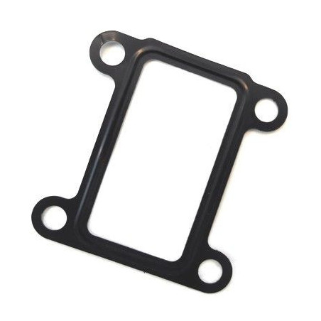 Joint (vanne EGR / AGR)...