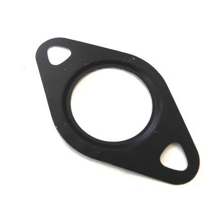 Joint (vanne EGR / AGR)...