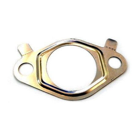 Joint (vanne EGR / AGR)...