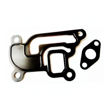 Joint (vanne EGR / AGR)...