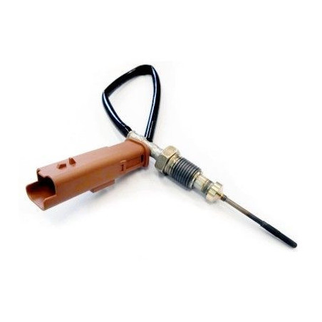 Palpeur (température des...