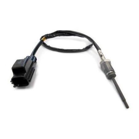 Palpeur (température des...